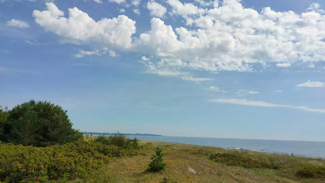 Sanddyner med strandväxter och havet bakom