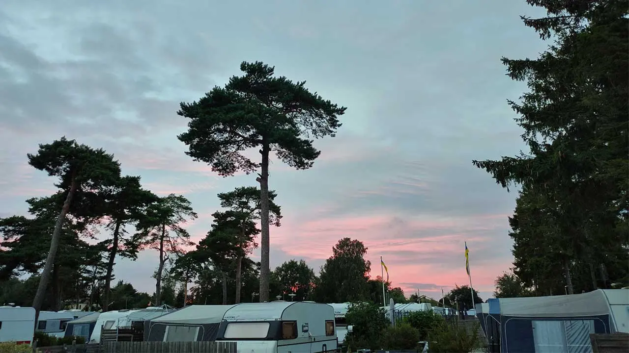 Rosa kvällshimmel över tallarna och campingen